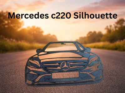 Mercedes c220 Silhouette