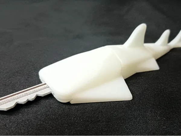 https://makerworld.bblmw.com/makerworld/model/USb405815597d204/design/2025-08-17_d6f8f674d2131.jpg