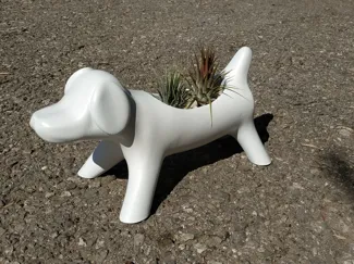 Dog Planter