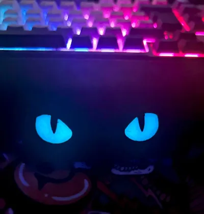 Tactical Cat Eyes (Better glowing in the dark)