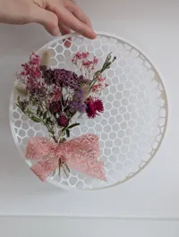 voronoi small