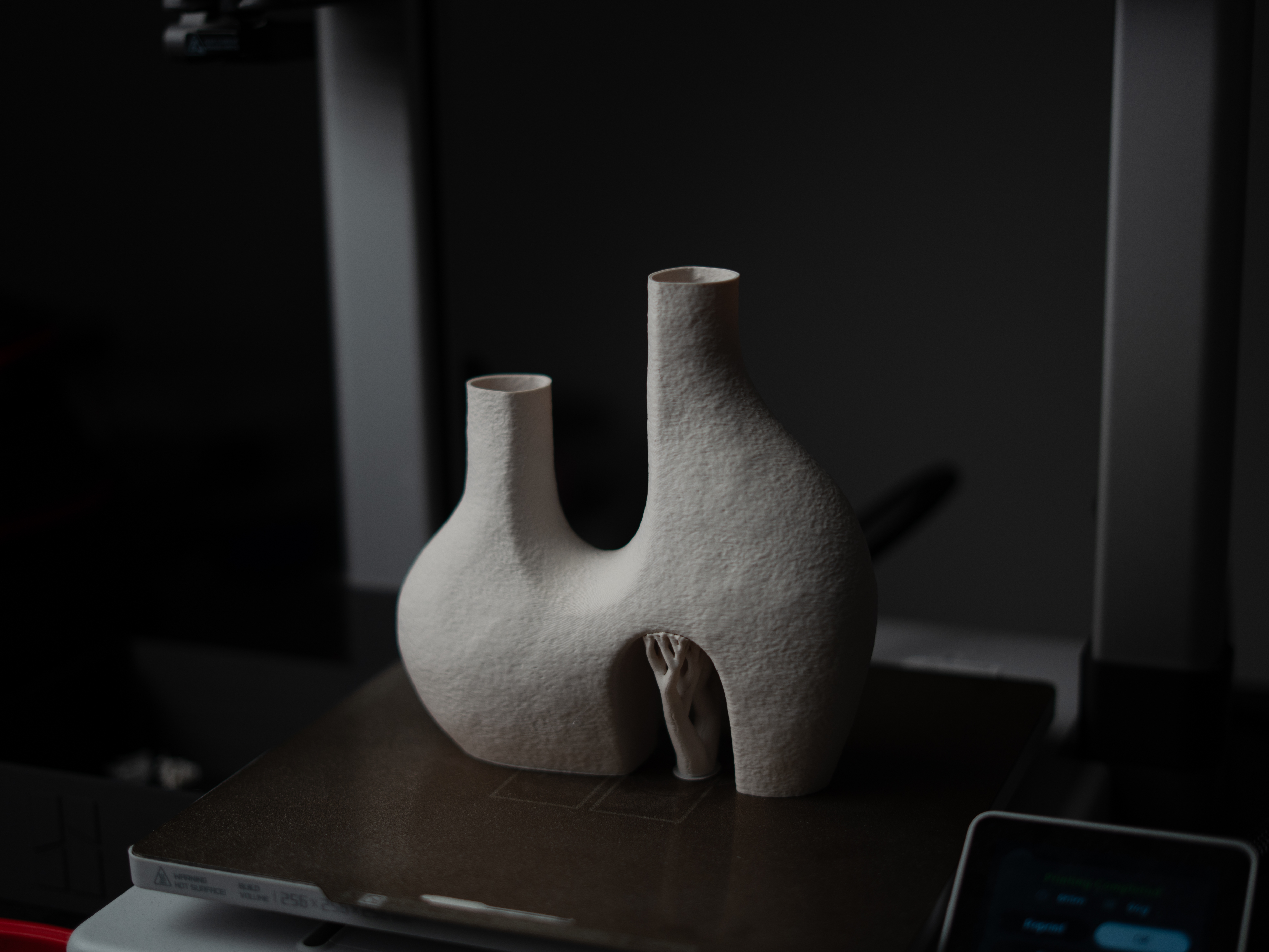 Miniatura 1 do modelo 3D Dual vase