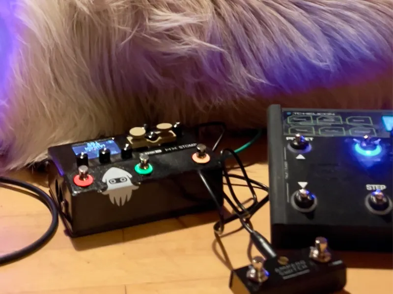 Line 6 Helix Stomp Buttons