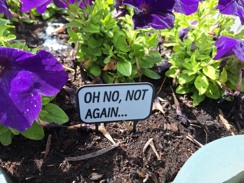 Oh No, Not Again... Sign for Bowl of Petunias