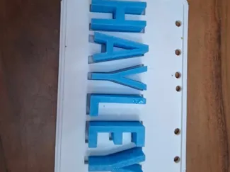 puzzle HAYLEY
