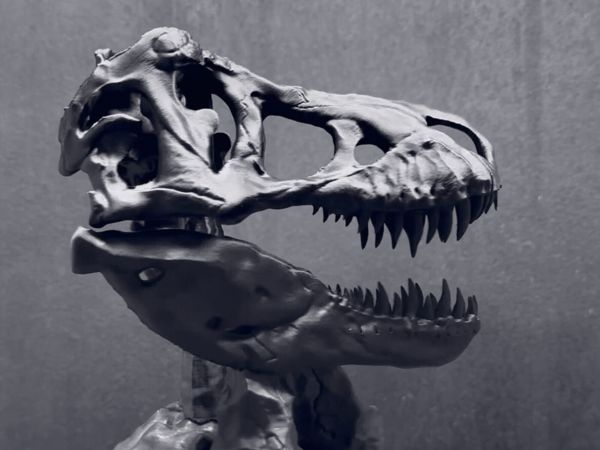 https://makerworld.bblmw.com/makerworld/model/USb42b1866bbff88/design/2025-08-28_306a3abb362ab8.gif