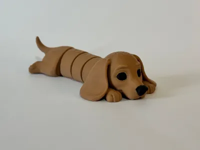 Flexi Dog Fidget