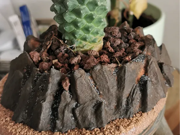 https://makerworld.bblmw.com/makerworld/model/USb42c38d47e6e6c/design/2024-09-07_9a9fbc71535f5.jpg