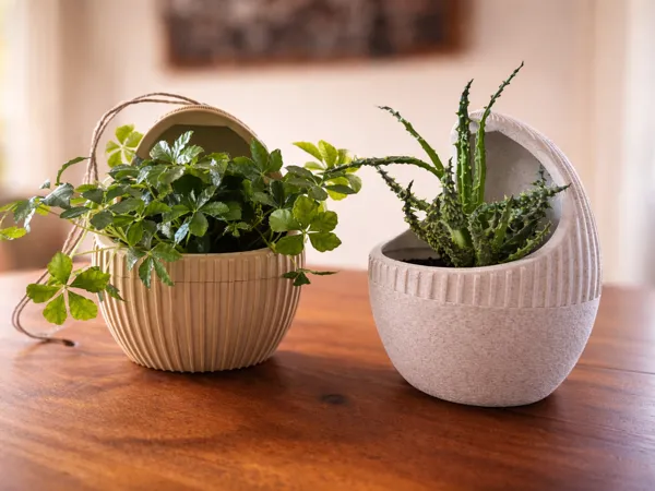 https://makerworld.bblmw.com/makerworld/model/USb4336224639120/design/cf49eddcb73871ef.png