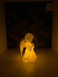 Ange 2 LED — photo 5