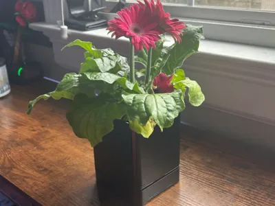 plant pot 4x4x4 inch