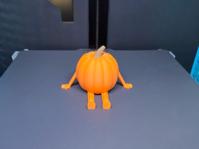 Flexi Pumpkin Buddy