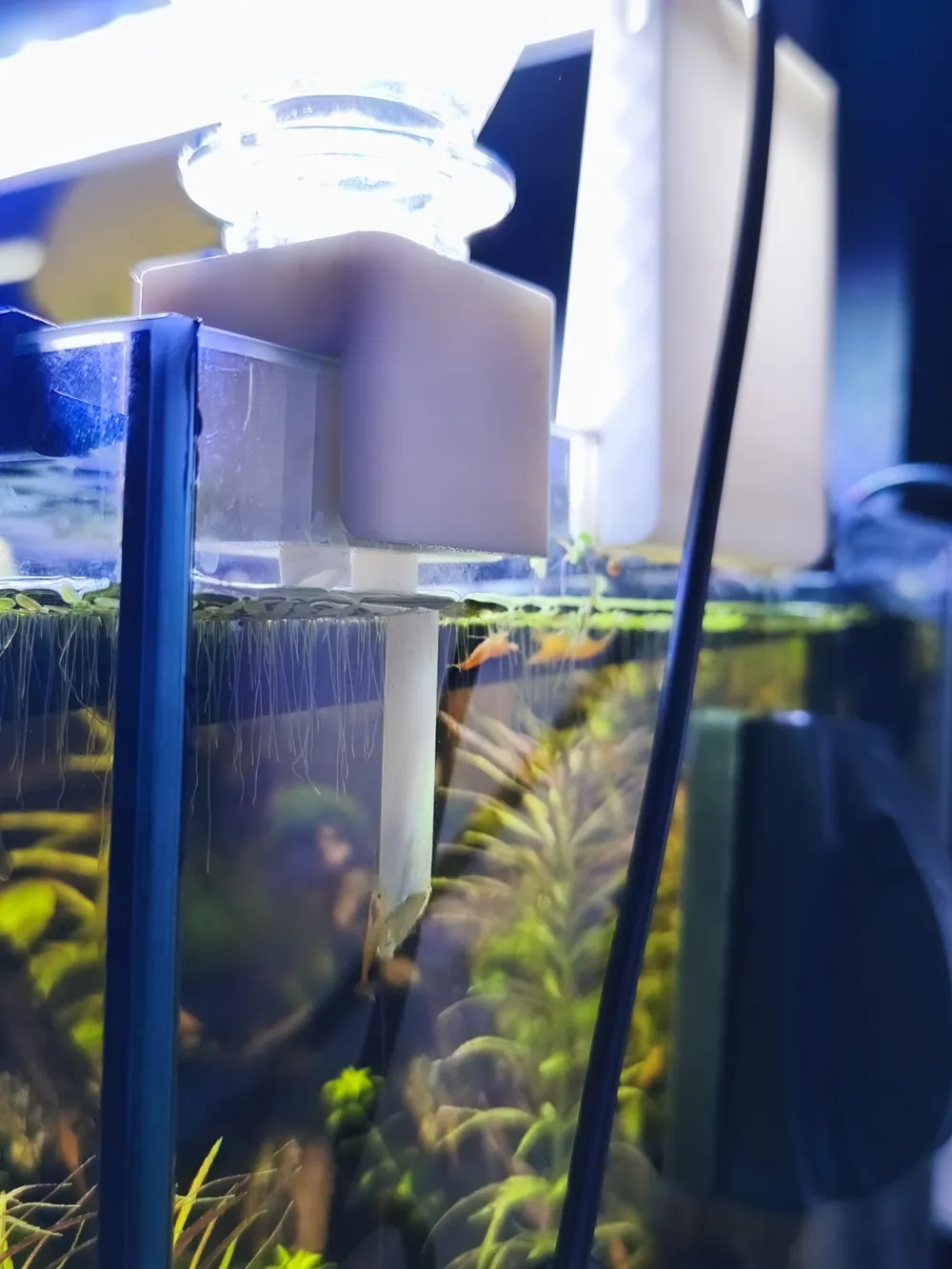 Automatic Refill System for Aquarium - Free 3D Print Model - MakerWorld