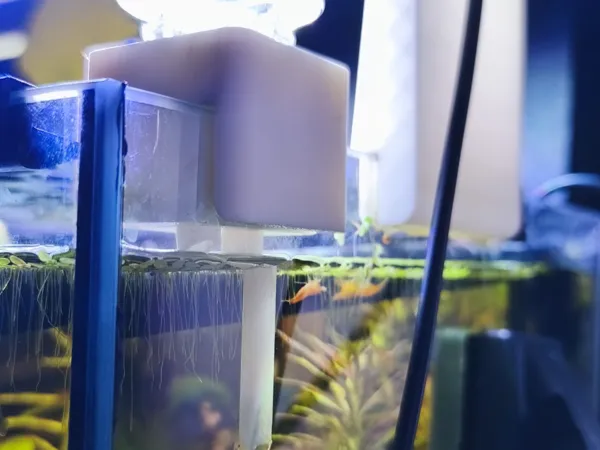 https://makerworld.bblmw.com/makerworld/model/USb43f993832506b/design/89cdc7c2682a54ad.jpeg