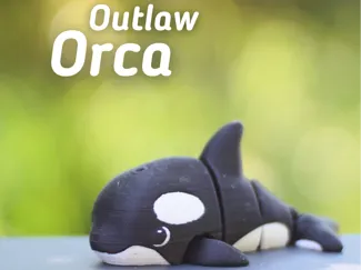 Outlaw Orca
