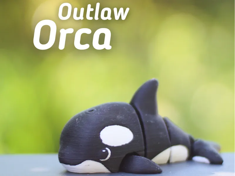 Outlaw Orca