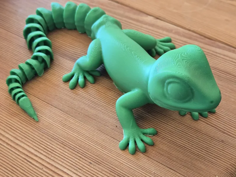 Lizard Long Tail