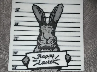 Bunny Mugshot