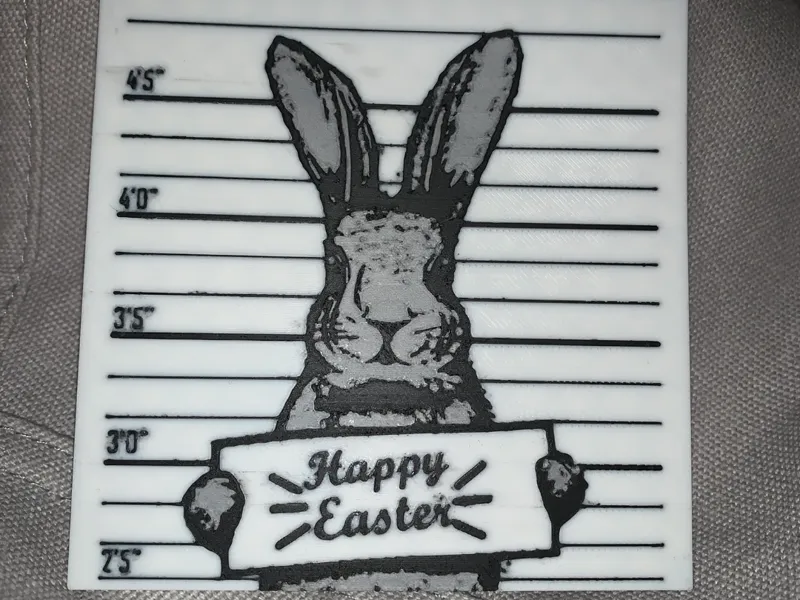 Bunny Mugshot