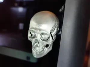 Skull Door Handle (X & P)