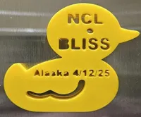 Canard magnet souvenir de croisière — photo 3