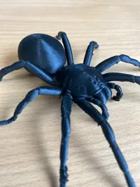 L'araignée la plus réaliste — photo 3