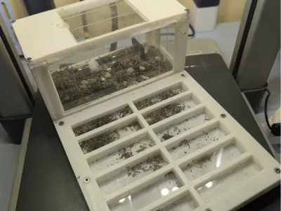 Ant nest | Microscope Slides | Nest + Outworld AIO