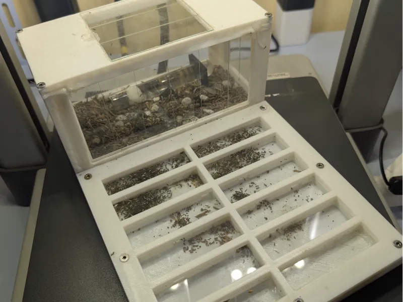 Ant nest | Microscope Slides | Nest + Outworld AIO
