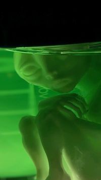 Alien_Hybrid