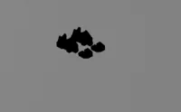 Dummy 13 Shoes