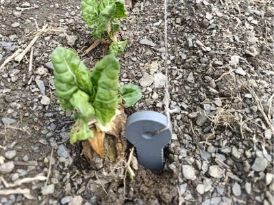 Plant-o-Meter