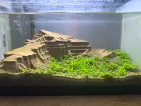 0.12mm layer, 2 walls, 15% infill