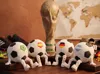 Regular Ball with Black Patches