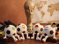 Regular Ball with Black Patches