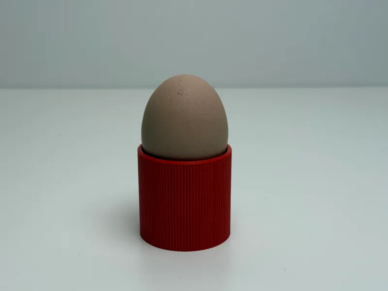 Egg Holder