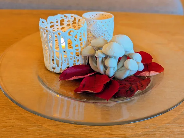 https://makerworld.bblmw.com/makerworld/model/USb468f6d6d0c25/design/2025-10-12_52b2e5aaad1e6.jpg
