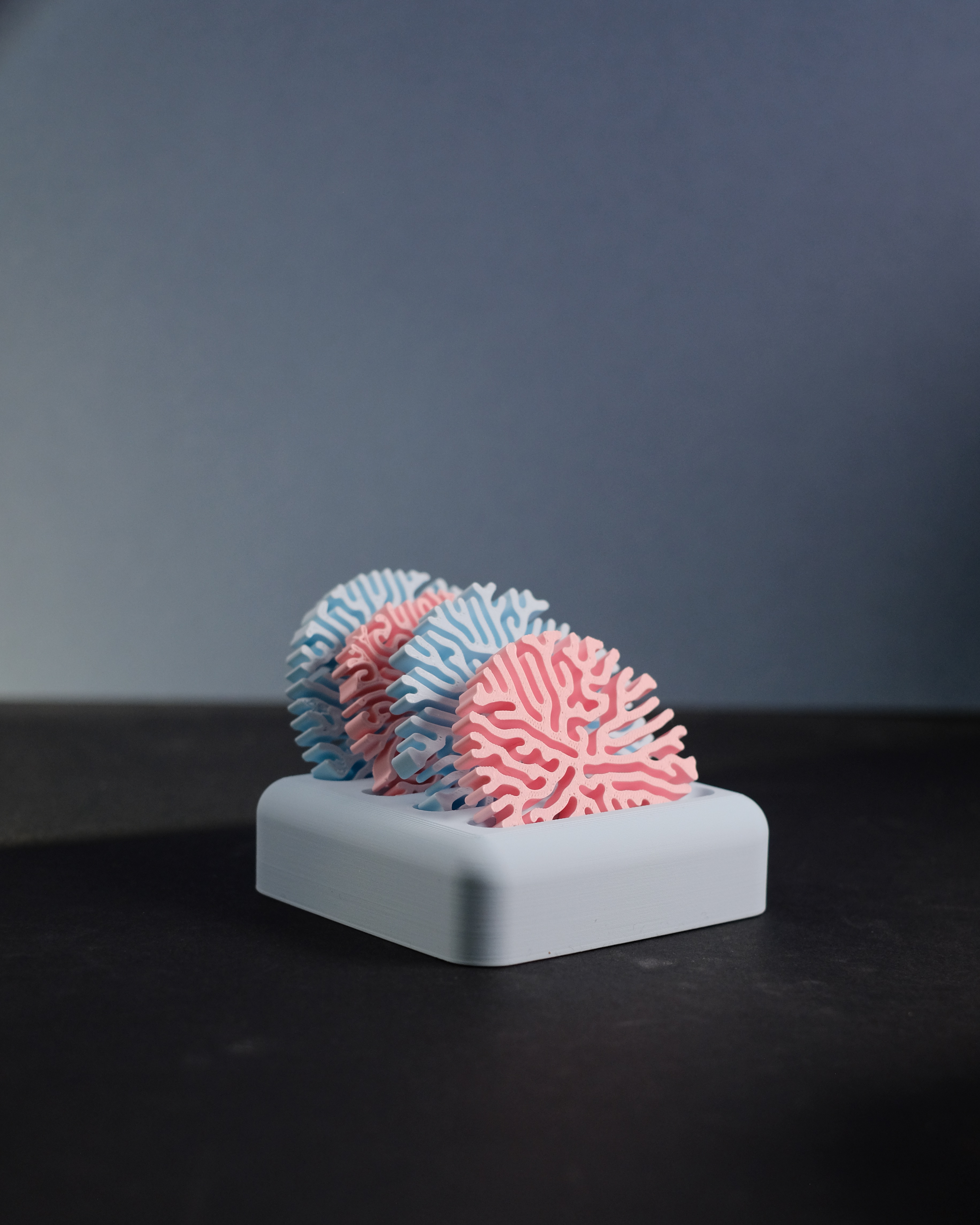 Coral Coasters and Stand - 1