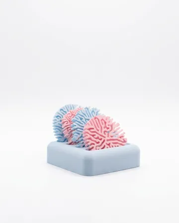 Soporte: Coral Coasters and Stand — vista de referencia 5