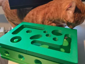 Cat Enrichment Box - Nail File