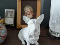 0.12mm layer, 2 walls, 15% infill