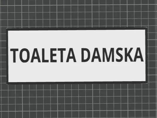 Tabliczka na toaletę TOALETA DAMSKA tablica 