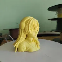 0.1mm layer, 2 walls, 15% infill