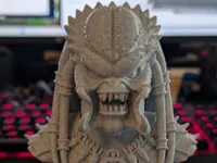 Buste de Predator — photo 2