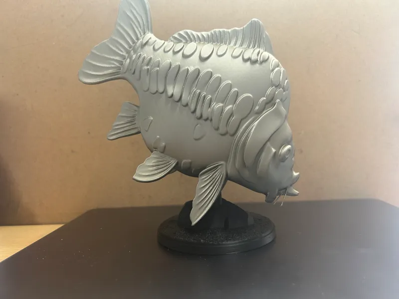 Mirror Carp