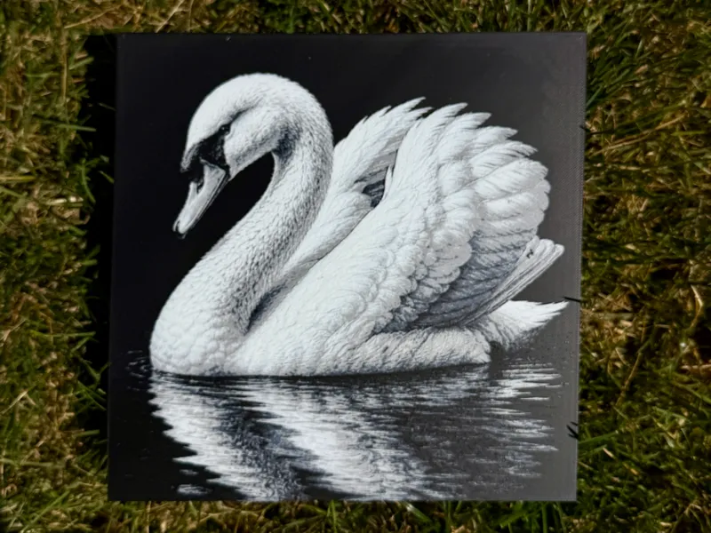 Swan Wildlife Series
