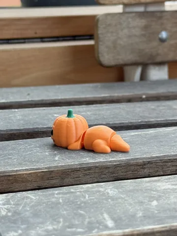 Adorno temático: Zookis - Patch (pumpkin) #72 — vista de referencia 5