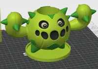 Cacnea planter AMS