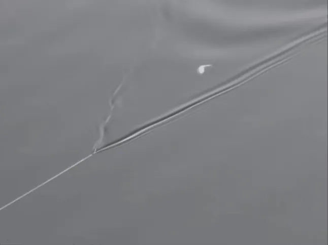 Mini Swimbait view 2
