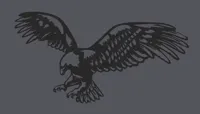 Aigle - art mural — photo 1