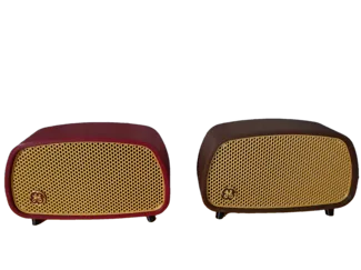 Echo Dot 4 and 5 Retro Radio Housing